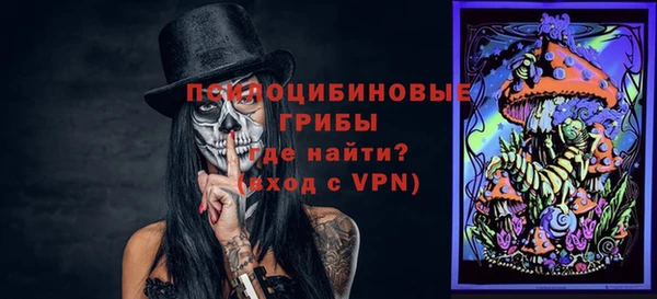 a pvp Корсаков