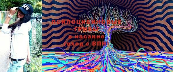 каннабис Коряжма