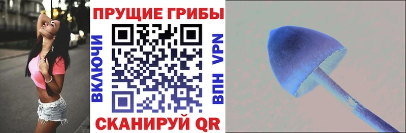 Купить  Сухой Лог  Галлюциногенные грибы прущие грибы 